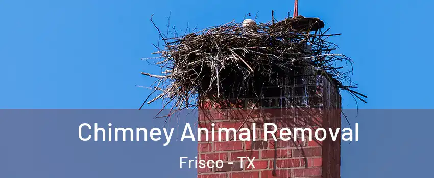 Chimney Animal Removal Frisco - TX