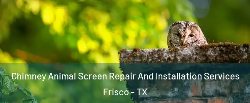 Chimney Animal Screen Repair And Installation Services Frisco - TX