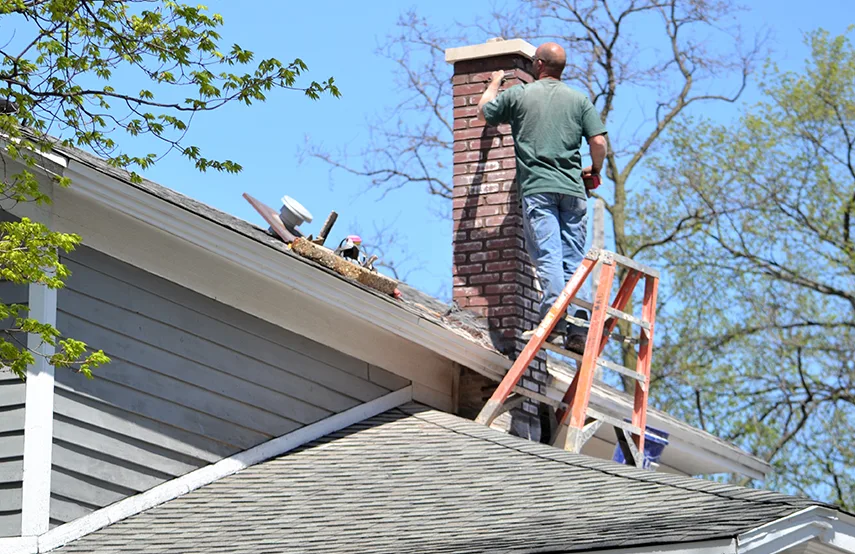 Chimney & Fireplace Inspections Services in Frisco, TX