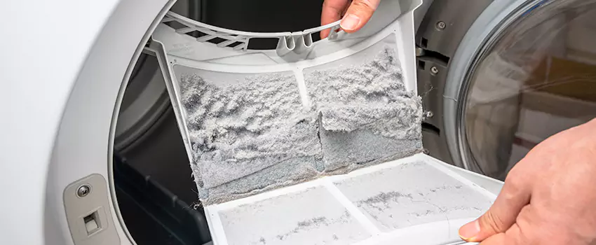 Best Dryer Lint Removal Company in Frisco, Texas
