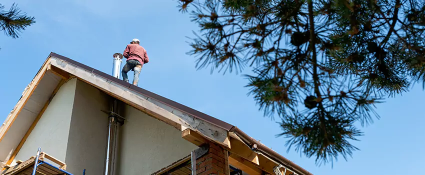 Birds Removal Contractors from Chimney in Frisco, TX